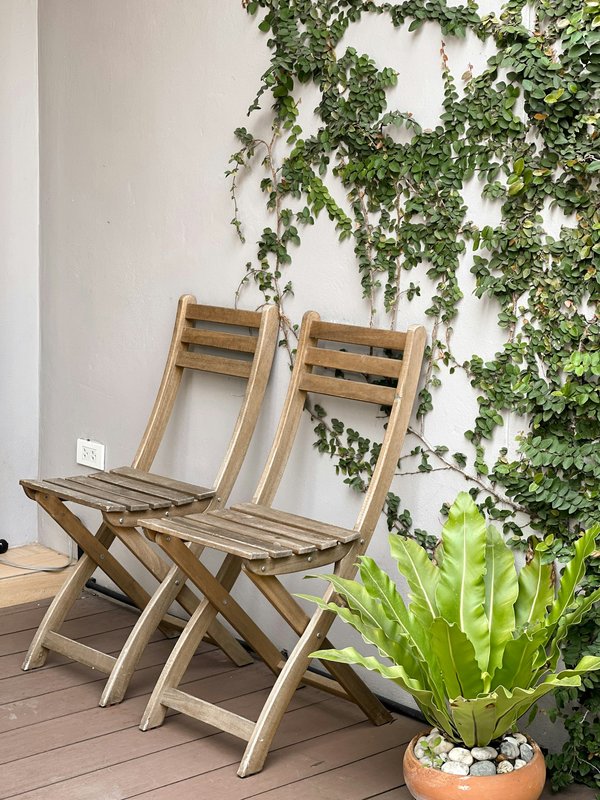 Pourquoi intégrer le faux lierre pour le jardin dans votre résidence ?