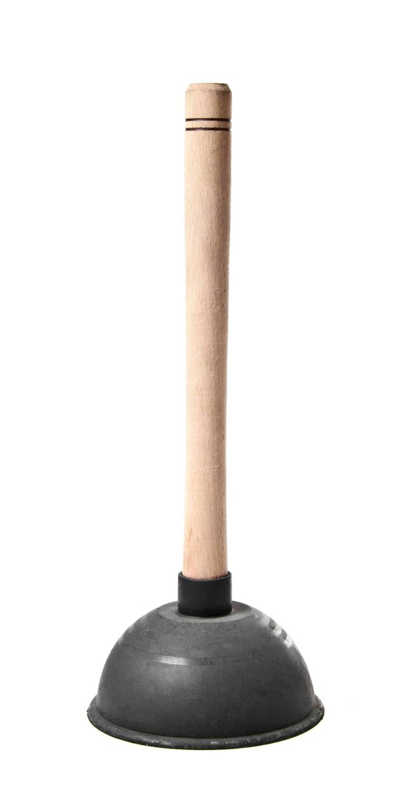 Les nids de frelon : pourquoi s'en débarrasser ?