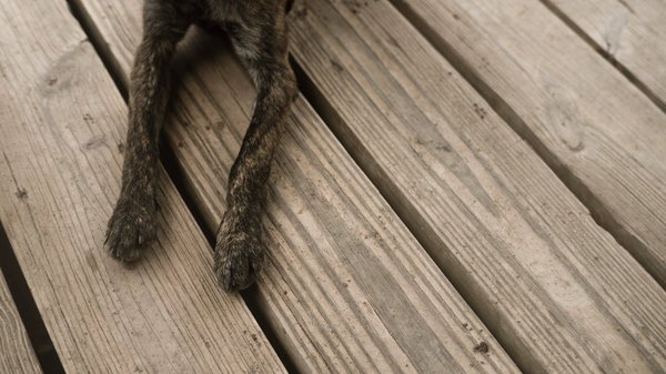 Quels sont les principes de base pour l'installation d'un plancher chauffant dans une véranda ?