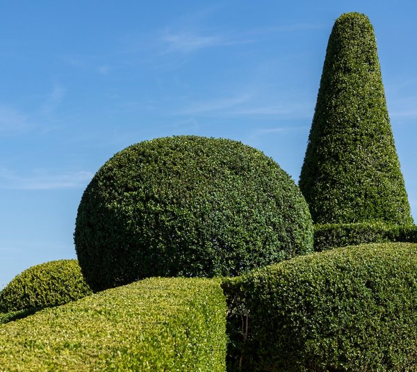 Comment créer un jardin sensoriel pour les enfants avec des besoins spéciaux ?