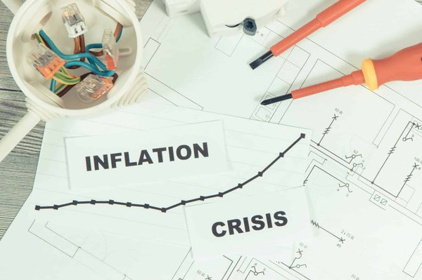 C'est quoi le prix d'une pieuvre électrique ? Découvrez !