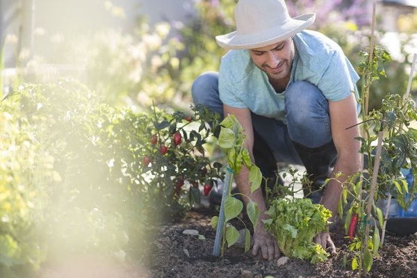 Conseil de jardinage : Protéger ses plantes des ravageurs, une nécessité ?